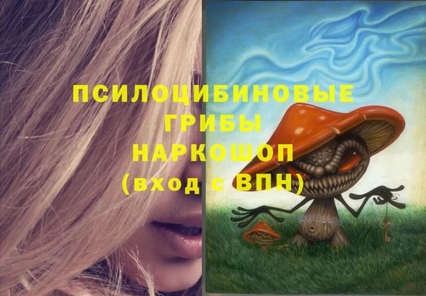 a pvp Горняк