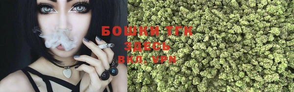 a pvp Горняк