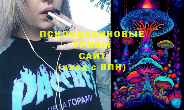 a pvp Горняк