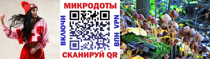 Галлюциногенные грибы Magic Shrooms  Купить  Пласт 