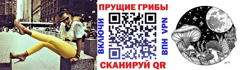 Псилоцибиновые грибы Psilocybine cubensis Пласт